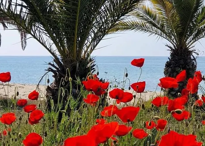 Maria & Trifon Сasa de vacaciones Ofrínion