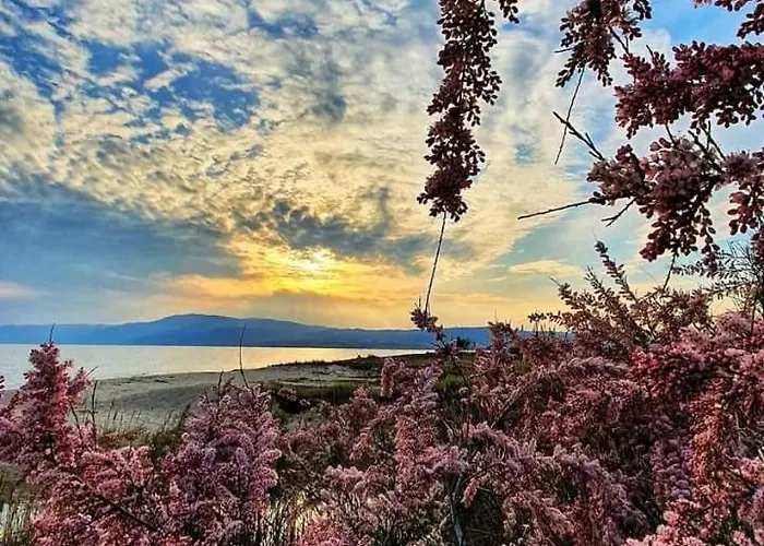 Maria & Trifon Сasa de vacaciones